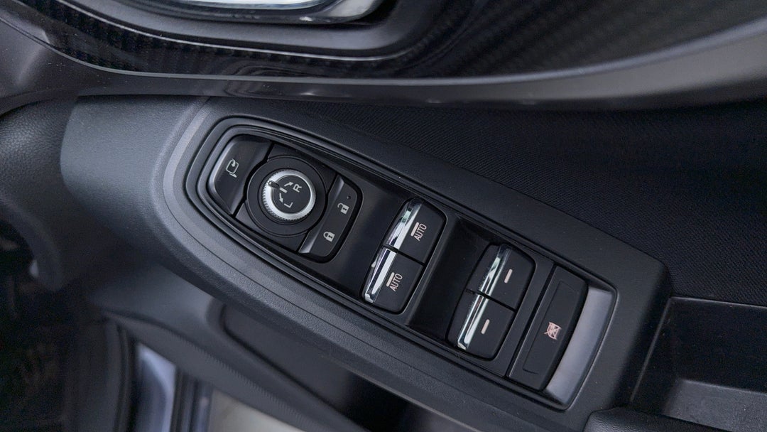 Drivers Side Door Panel Controls