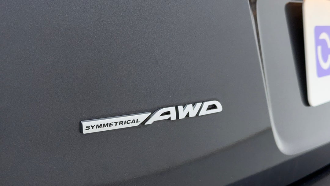 Badge (Boot Left Side)