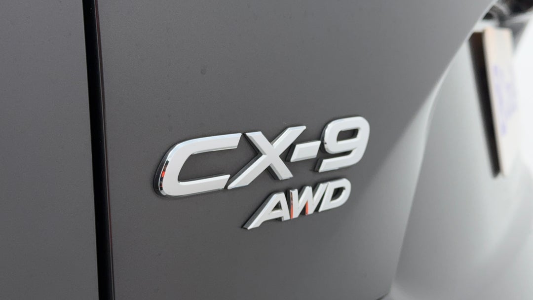 Badge (Boot Left Side)