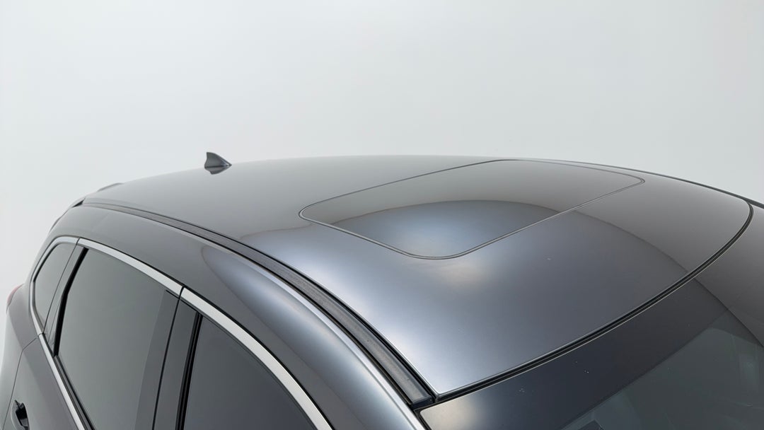 Roof/Sunroof View
