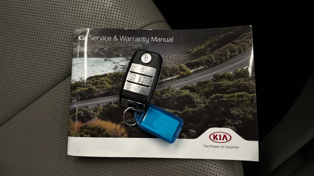 2018 Kia Carnival Platinum, Automatic, 83992 km, Key Close-up