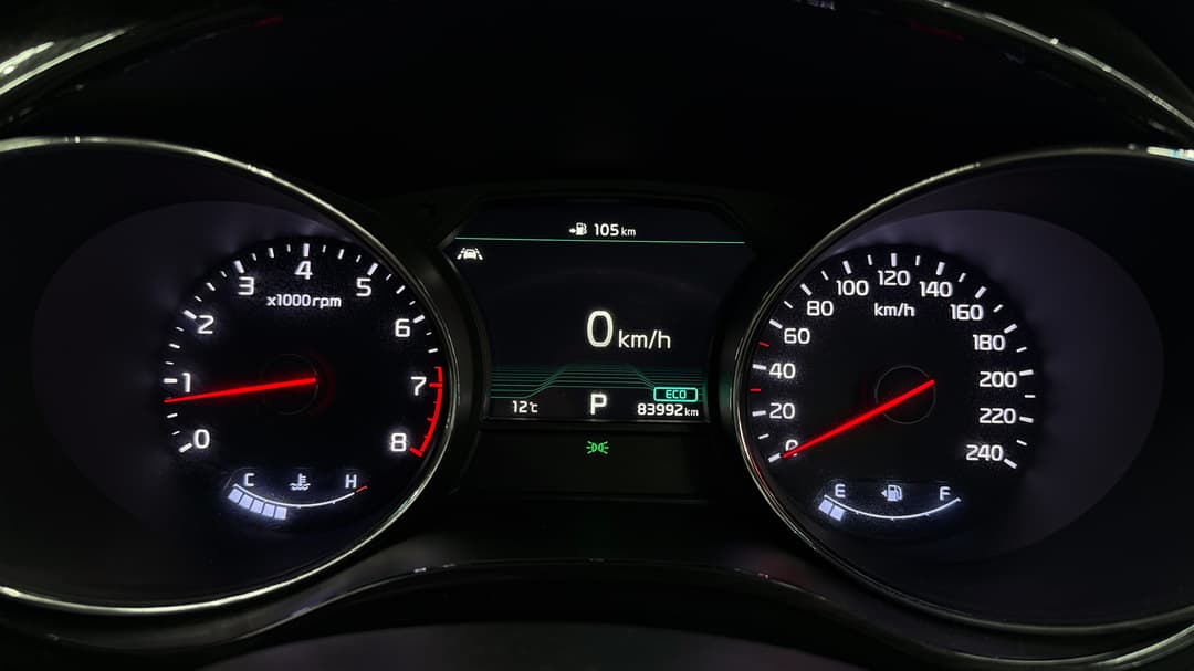 2018 Kia Carnival Platinum, Automatic, 83992 km, Odometer View