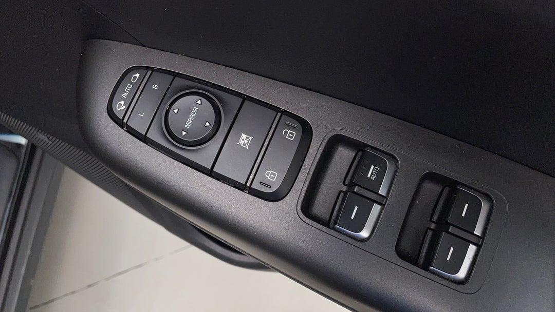 Drivers Side Door Panel Controls