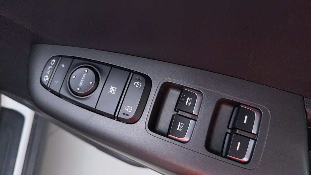 Drivers Side Door Panel Controls