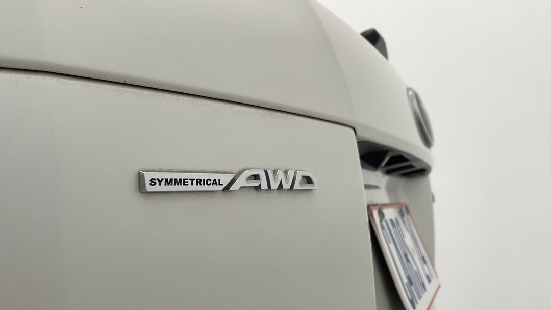 Badge (Boot Left Side)