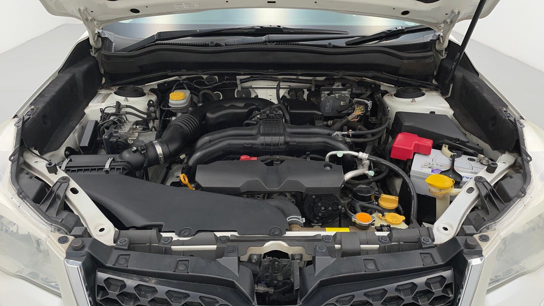 Open Bonnet (Engine)