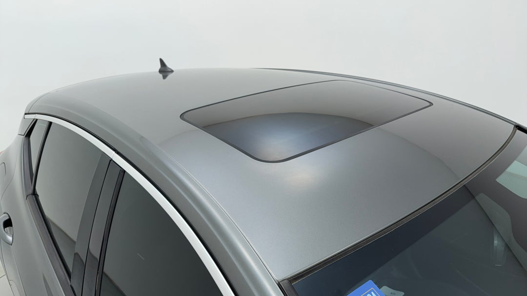 Roof/Sunroof View
