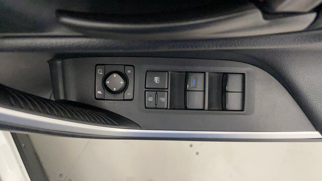 Drivers Side Door Panel Controls