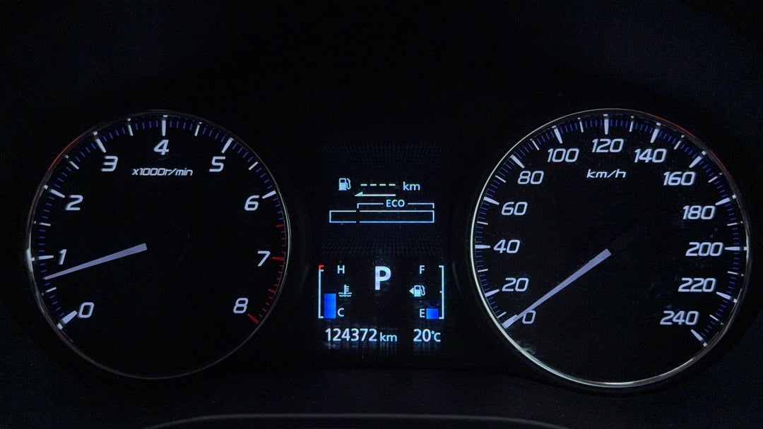 Odometer View