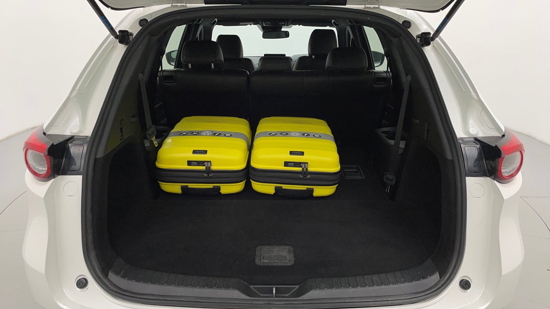 Boot Inside View with Luggage