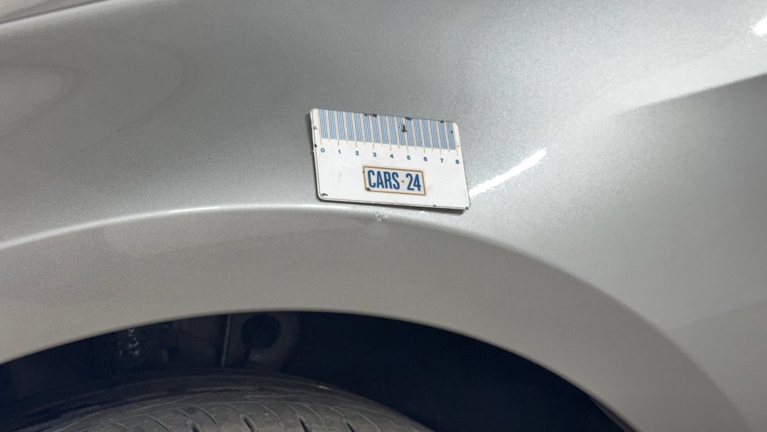 Quarter Panel Front LHS Guard Chip