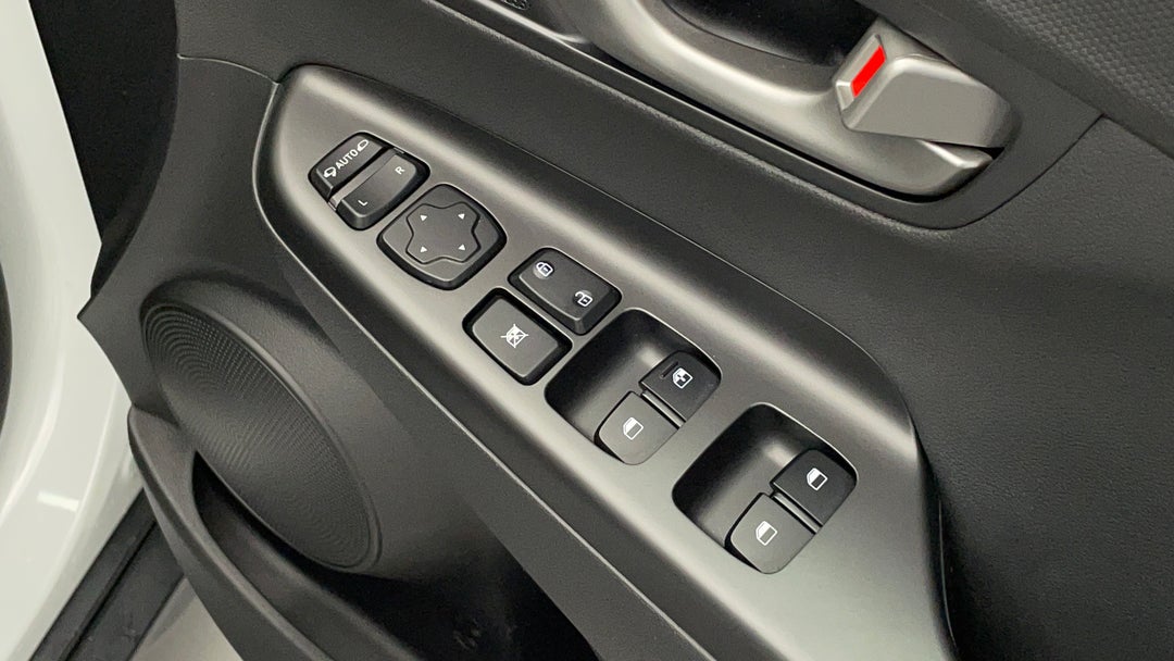 Drivers Side Door Panel Controls