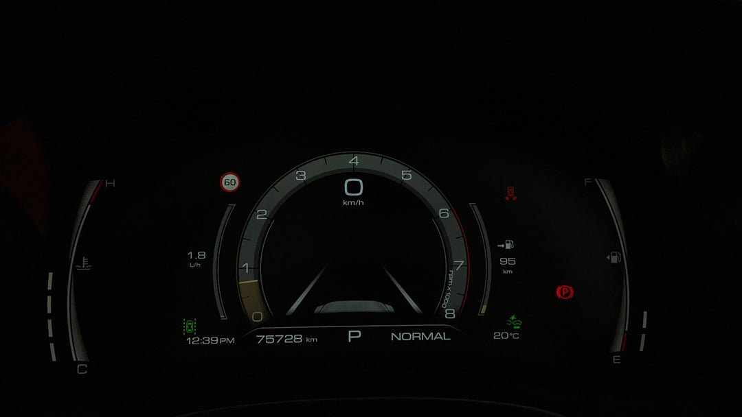 Odometer View