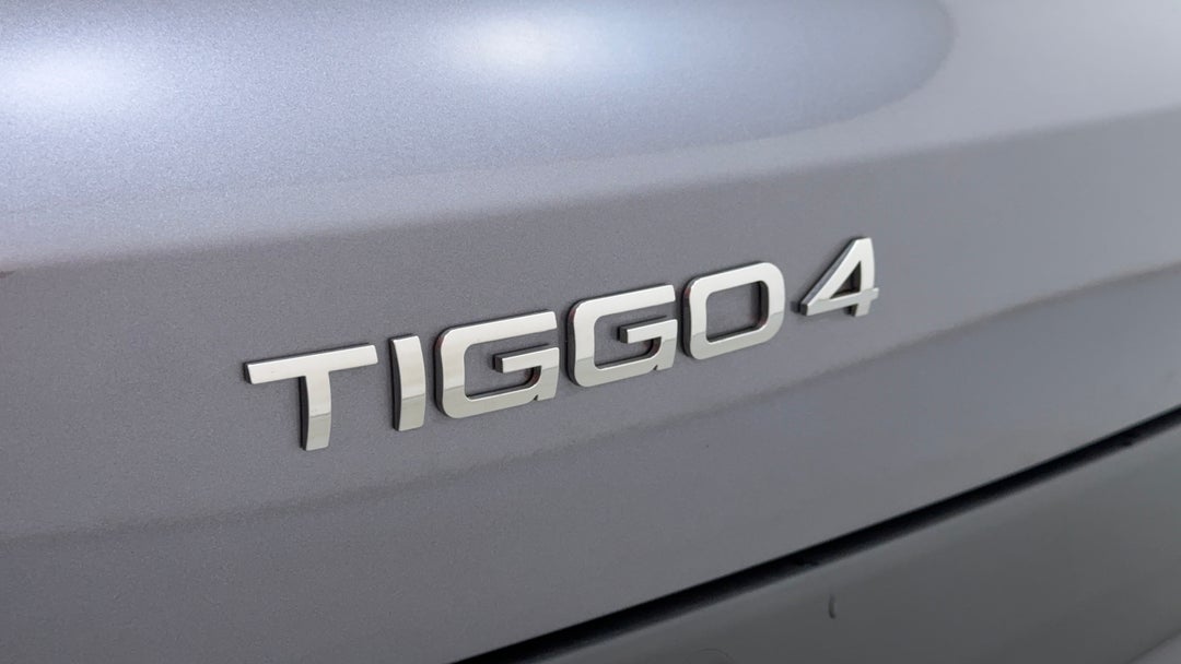 Badge (Boot Left Side)