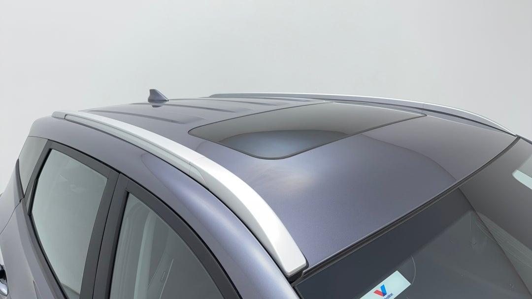 Roof/Sunroof View
