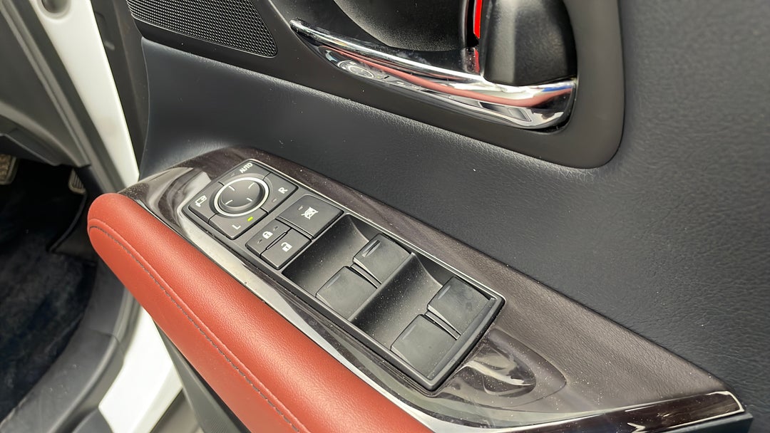 Drivers Side Door Panel Controls