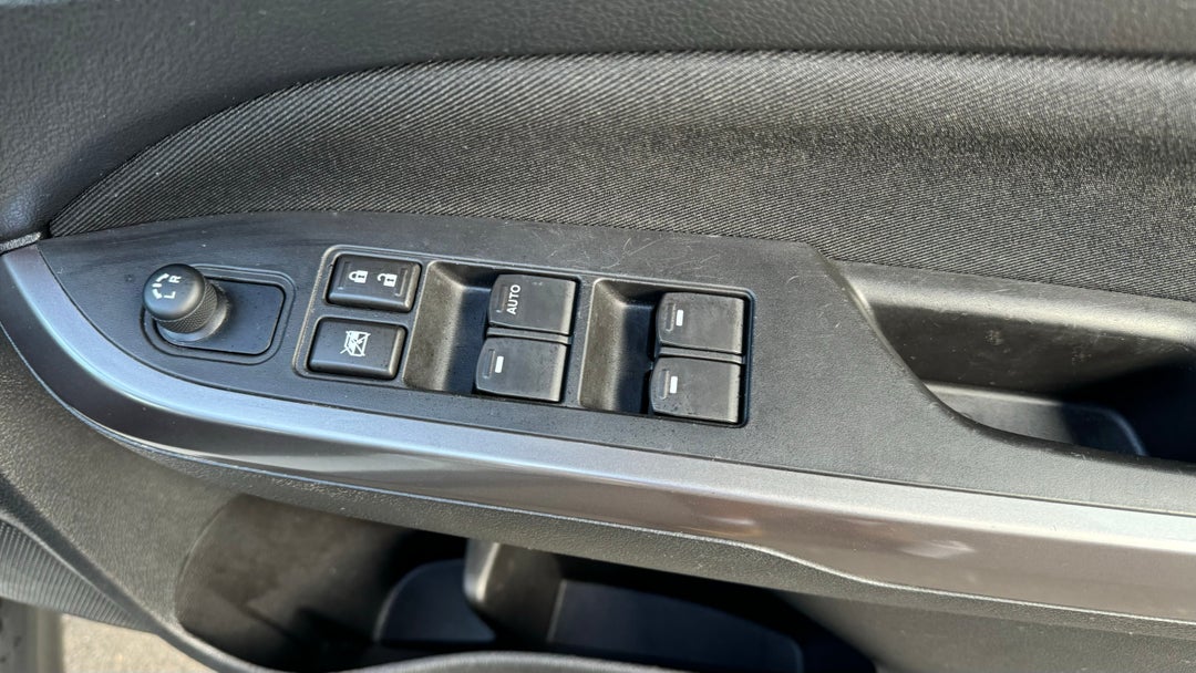 Drivers Side Door Panel Controls