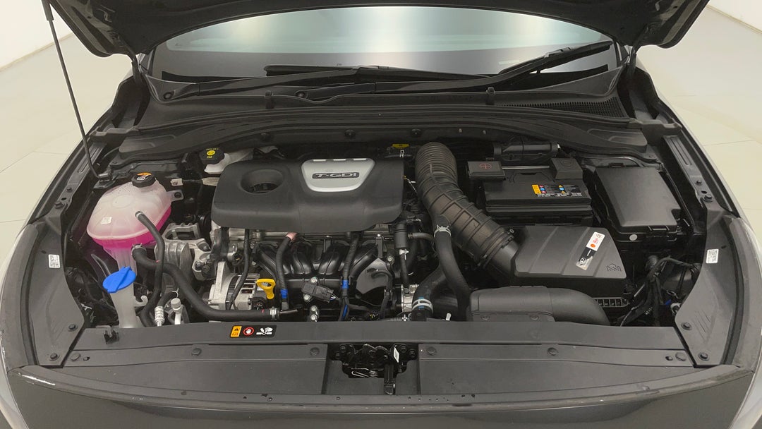 Open Bonnet (Engine)