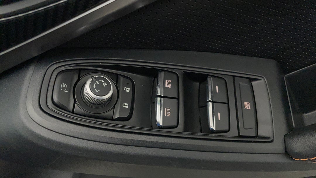 Drivers Side Door Panel Controls