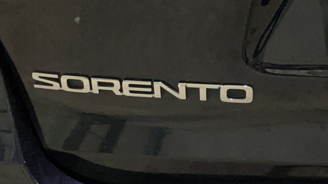 Badge (Boot Left Side)