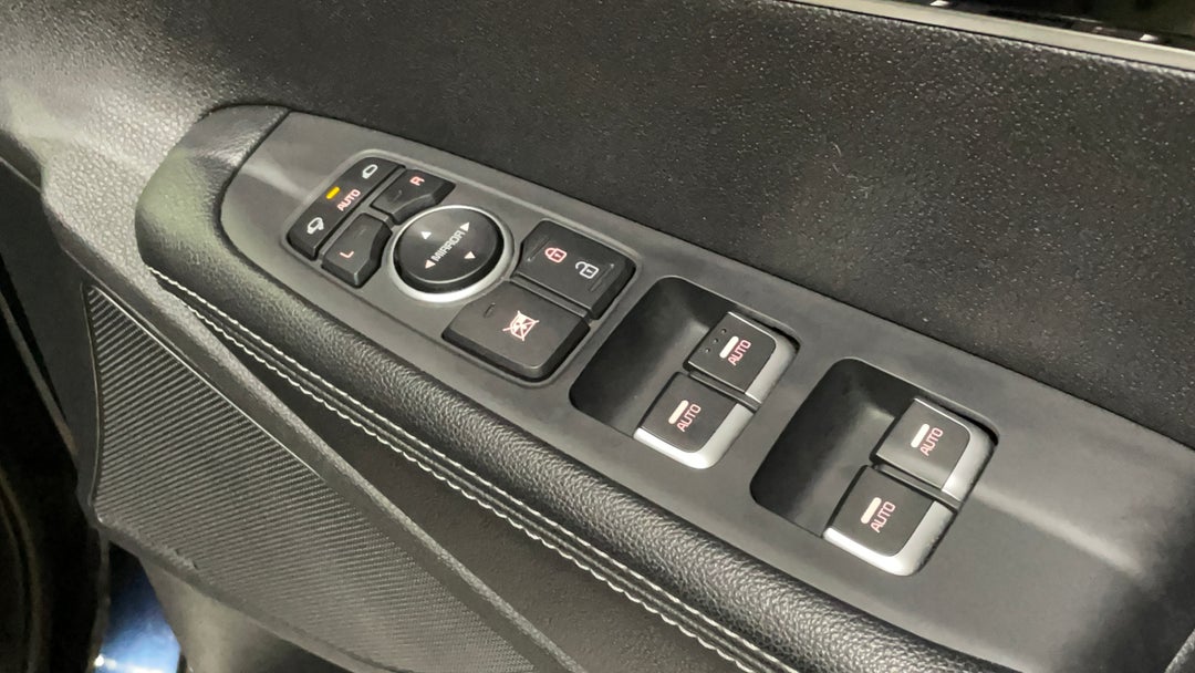 Drivers Side Door Panel Controls