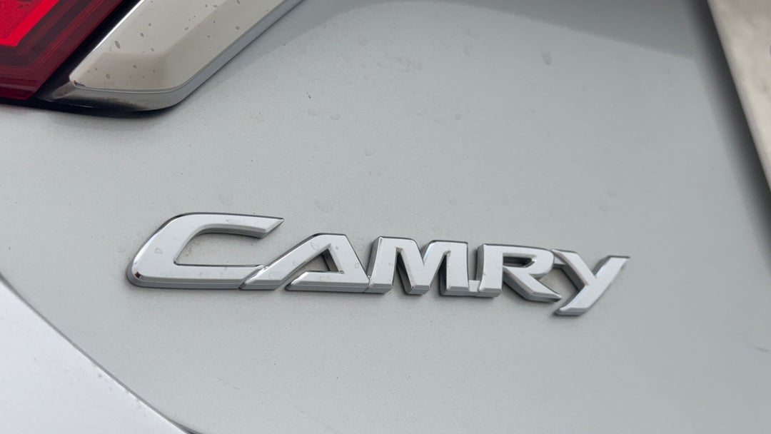 Badge (Boot Left Side)