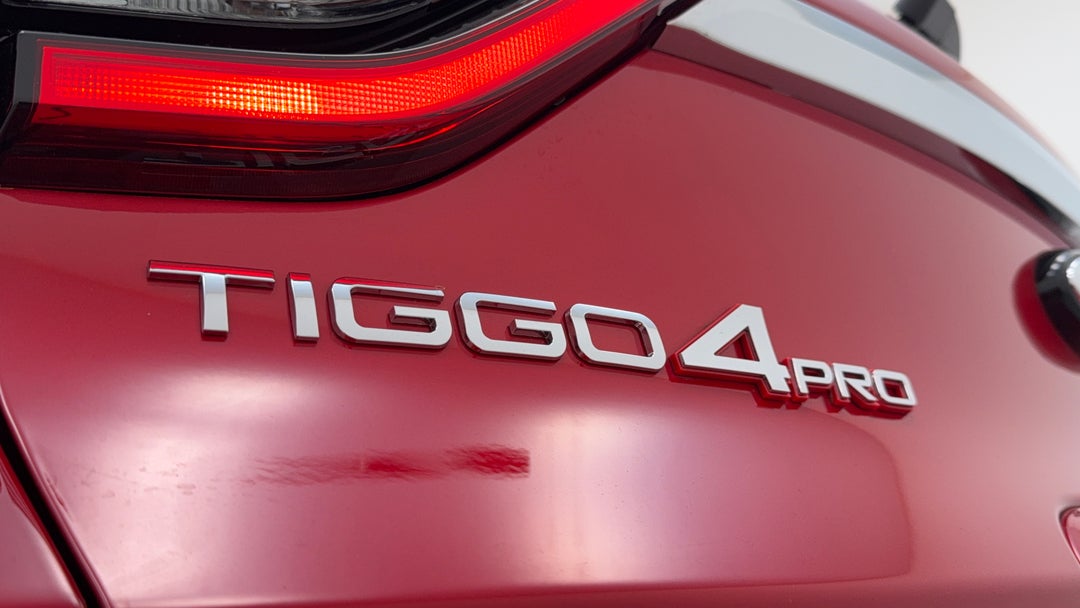 Badge (Boot Left Side)