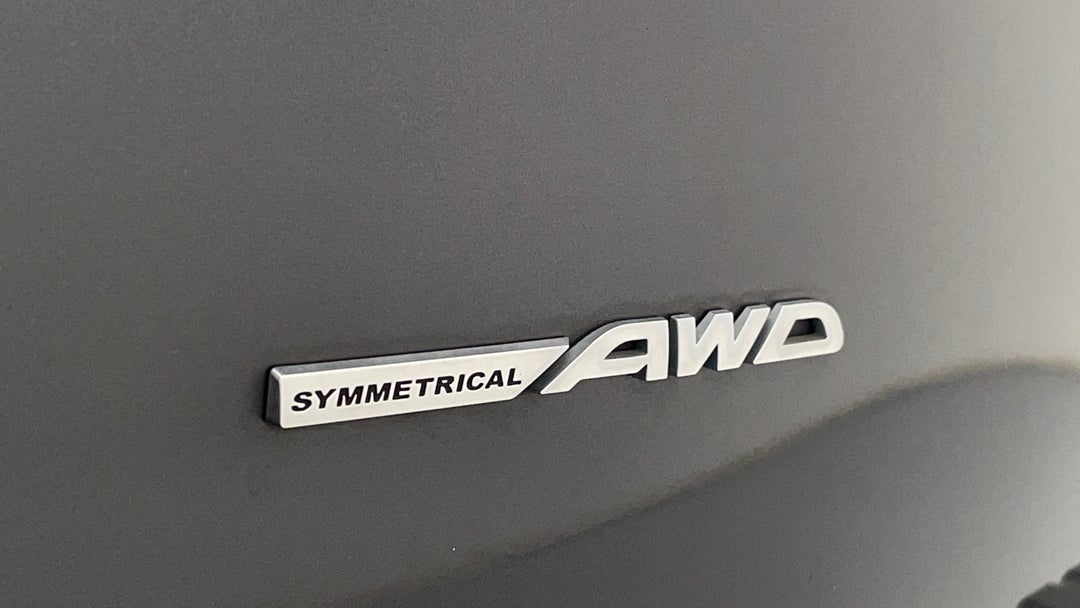 Badge (Boot Left Side)