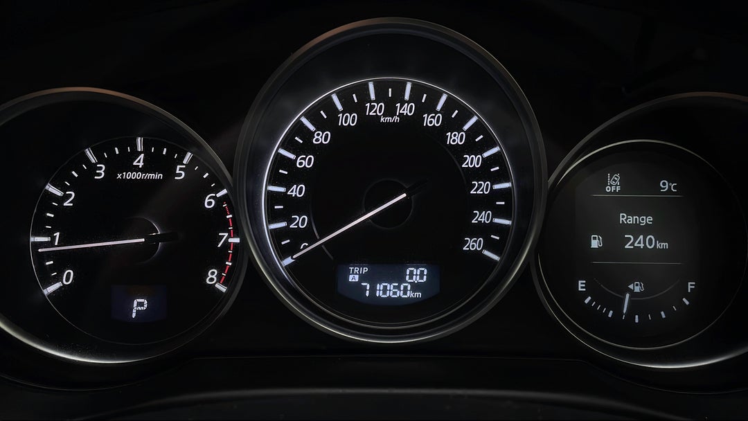 Odometer View