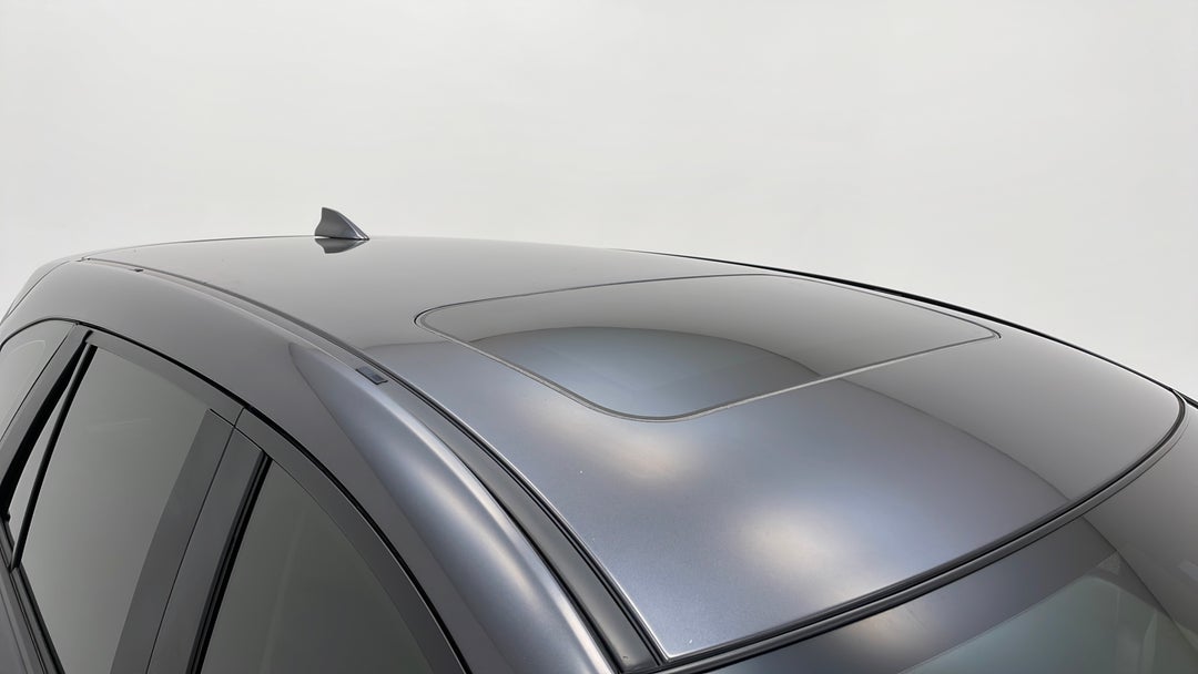 Roof/Sunroof View