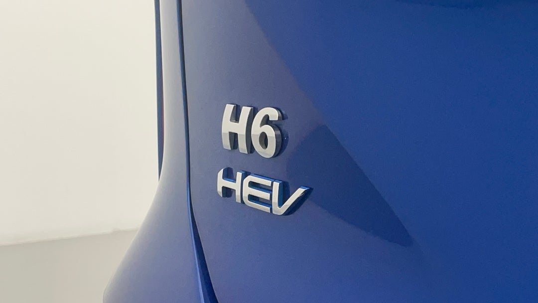 Badge (Boot Left Side)