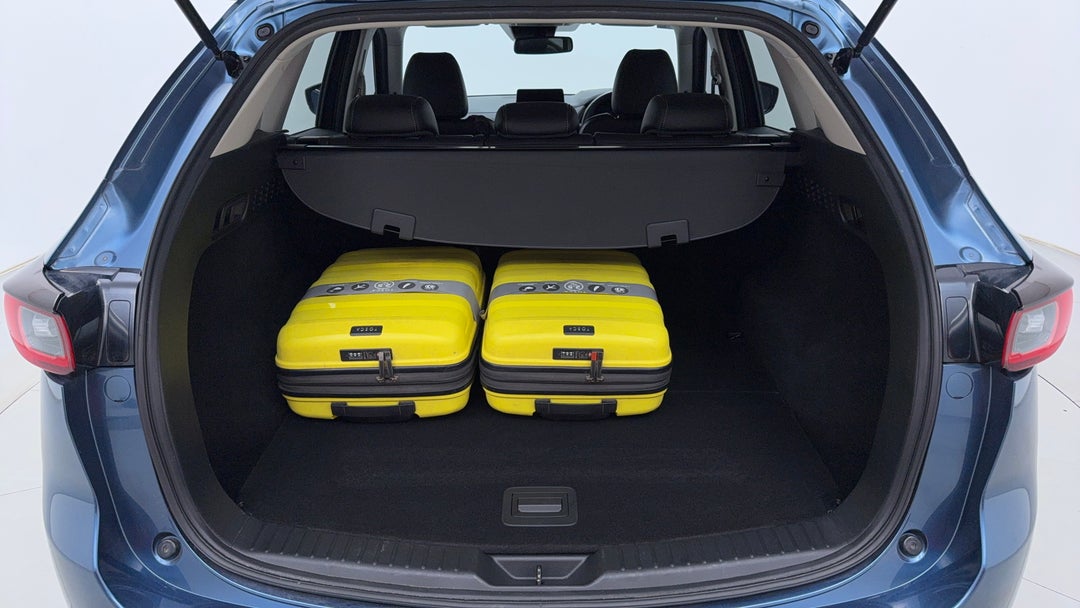 Boot Inside View with Luggage
