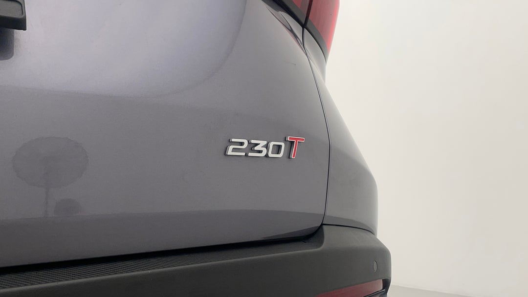 Badge (Boot Right Side)