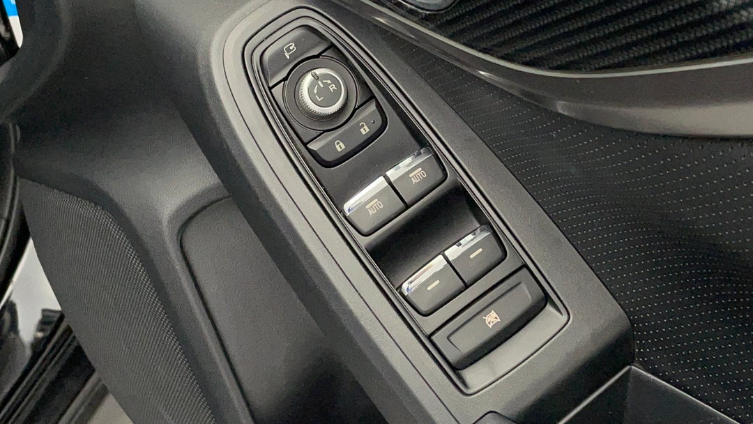 Drivers Side Door Panel Controls