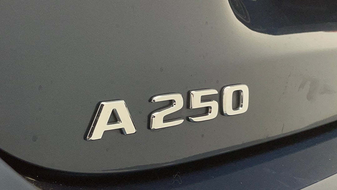 Badge (Boot Left Side)