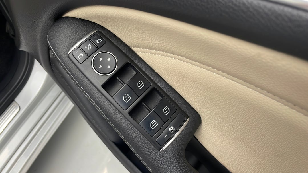 Drivers Side Door Panel Controls