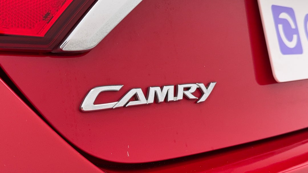 Badge (Boot Left Side)