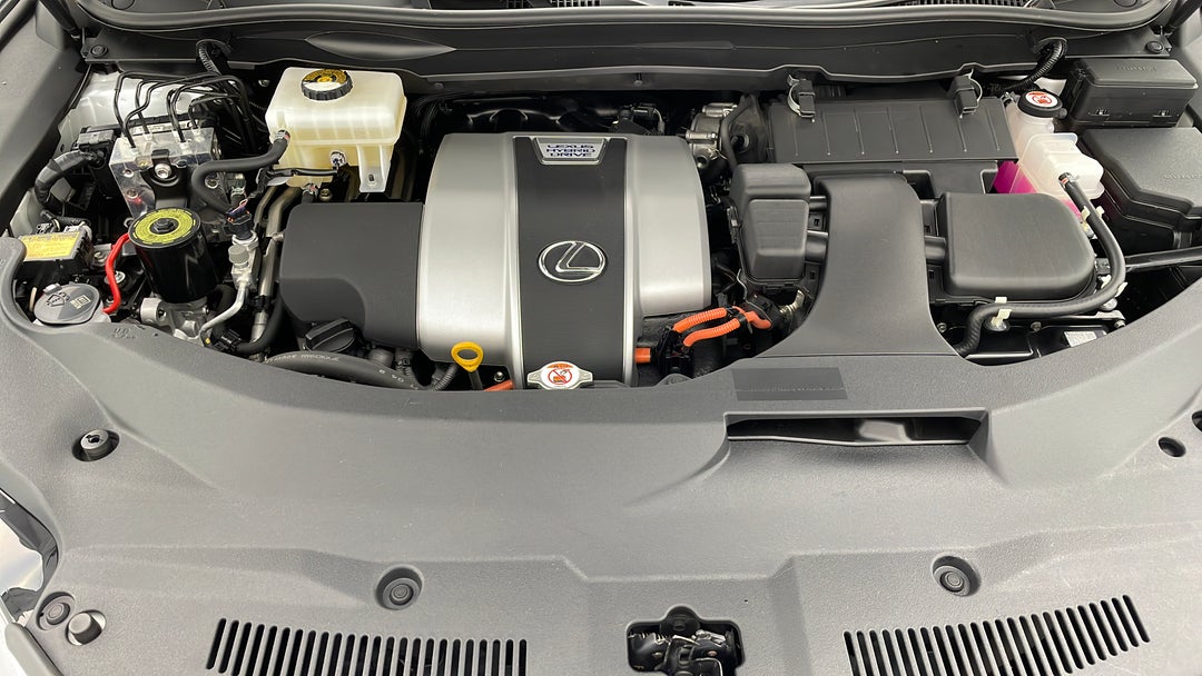 Open Bonnet (Engine)