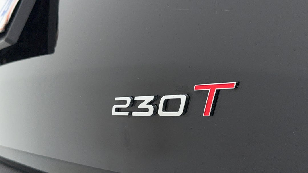 Badge (Boot Right Side)