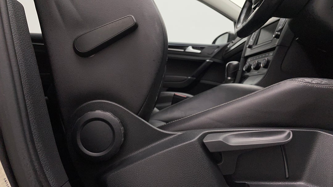 Drivers Side Door Panel Controls