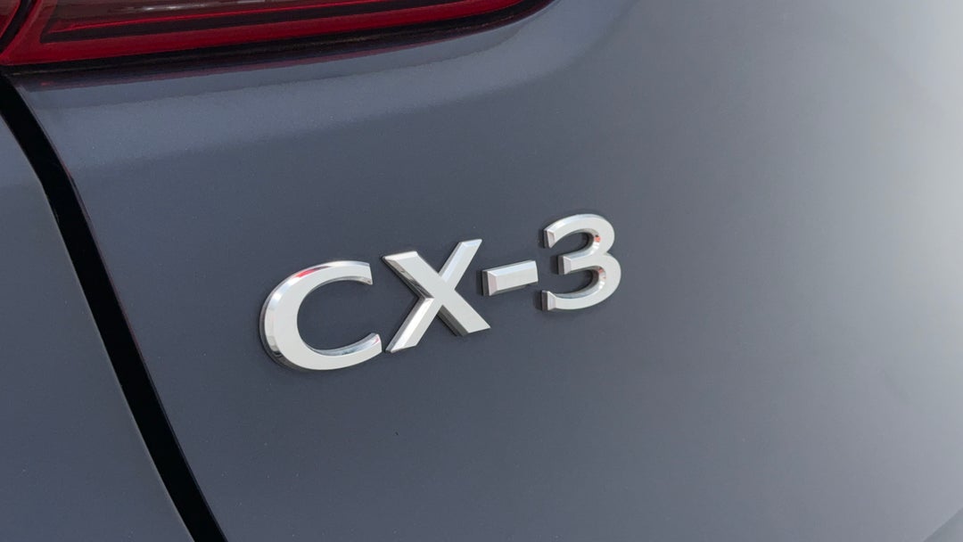 Badge (Boot Left Side)