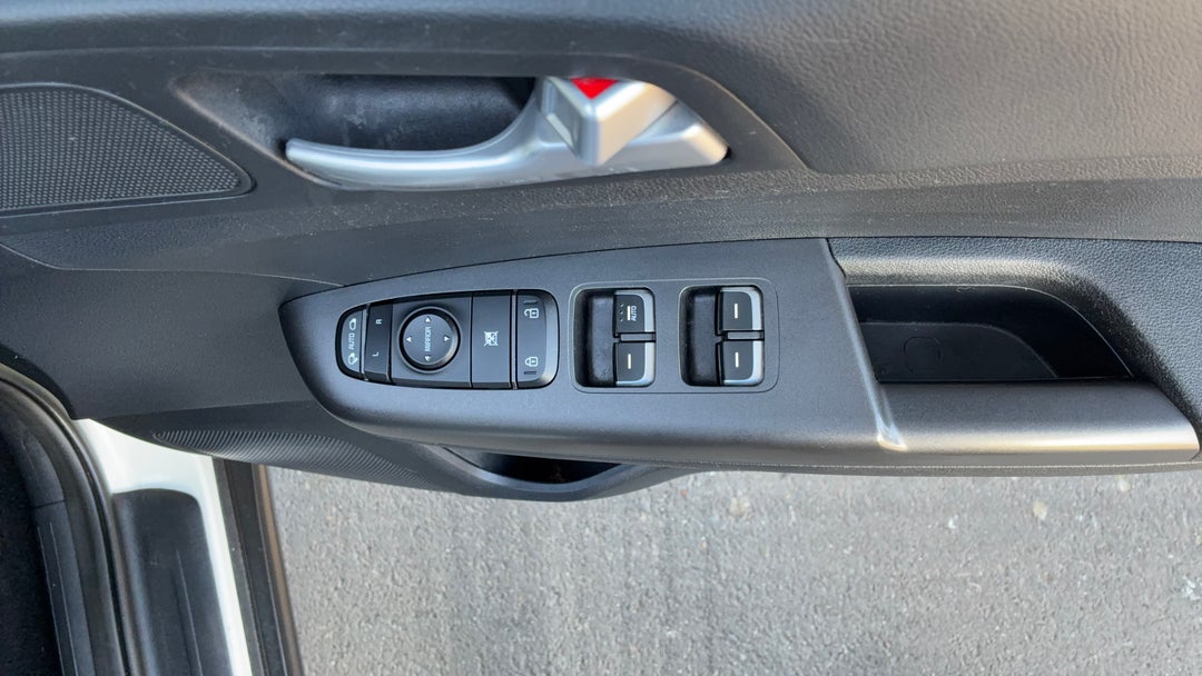 Drivers Side Door Panel Controls