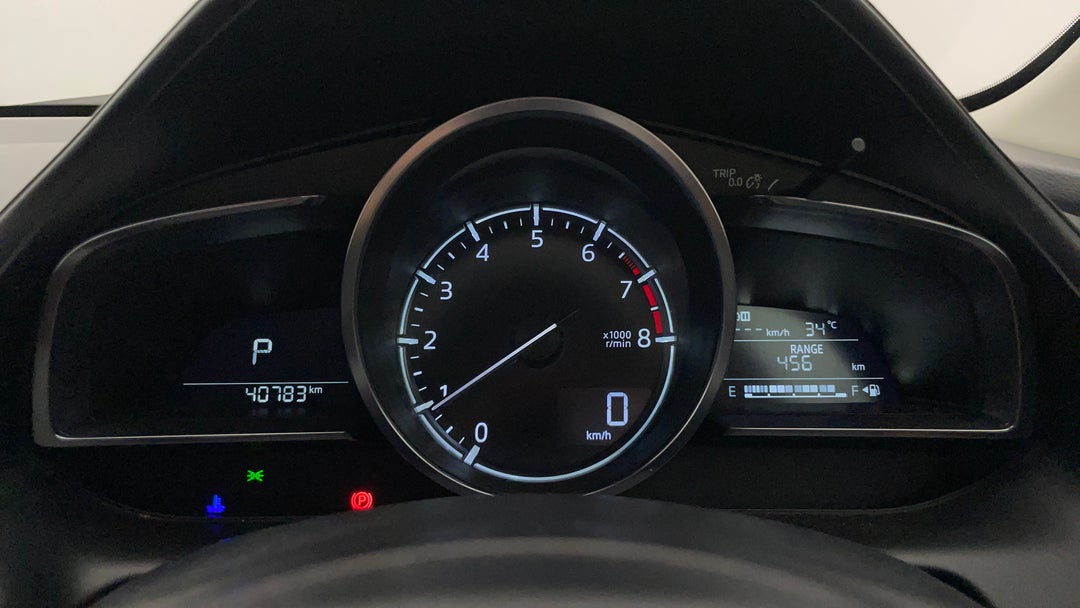Odometer View
