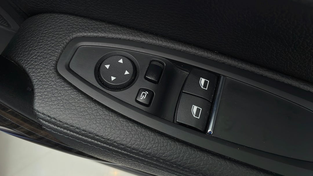 Drivers Side Door Panel Controls