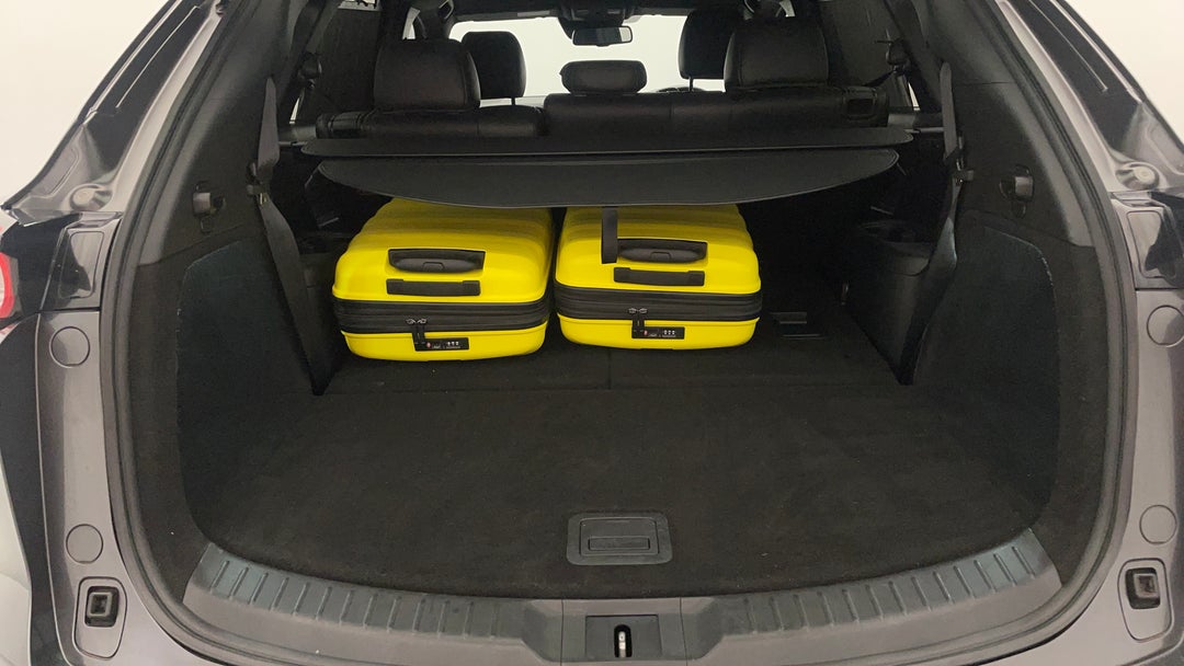 Boot Inside View with Luggage