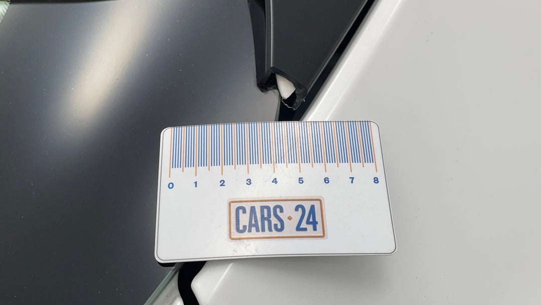 Boot / Tailgate Tailgate Chip