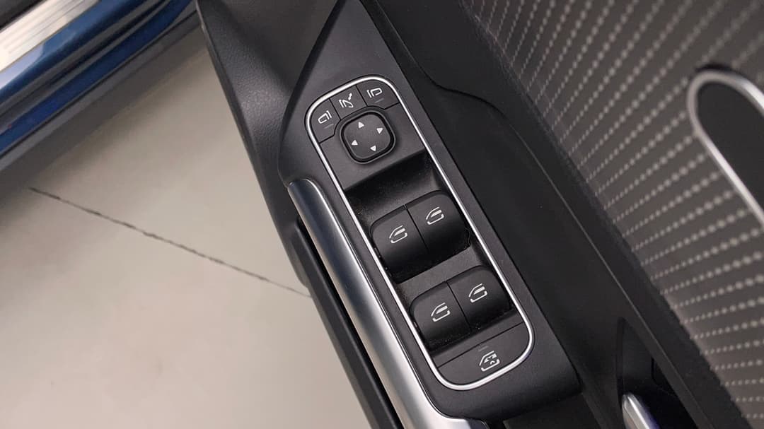 Drivers Side Door Panel Controls