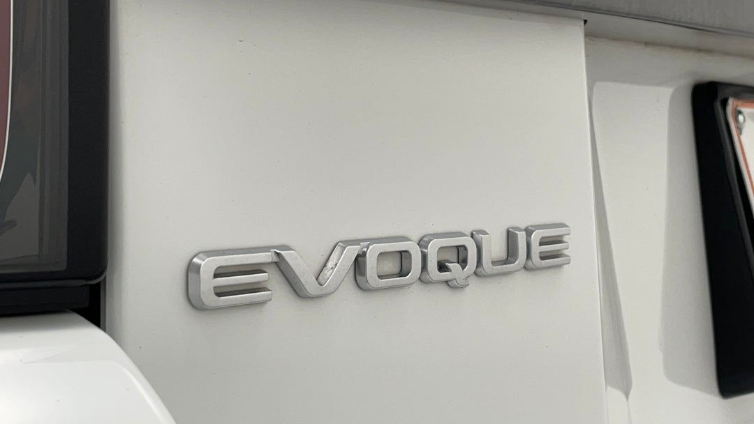 Badge (Boot Left Side)