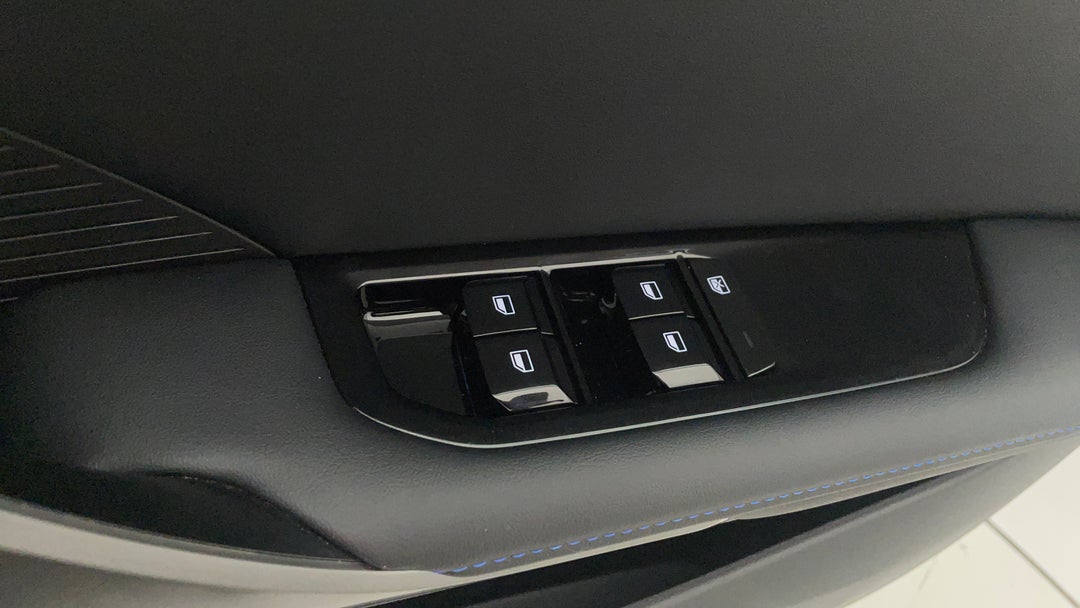 Drivers Side Door Panel Controls