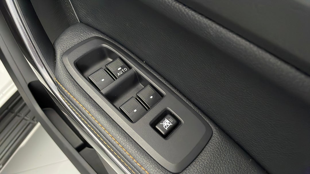 Drivers Side Door Panel Controls